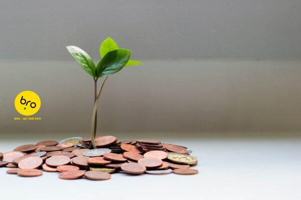 «Про таланти і про те, чому страшно їх визнавати та монетизувати»: ужгородську молодь запрошують на корисну лекцію